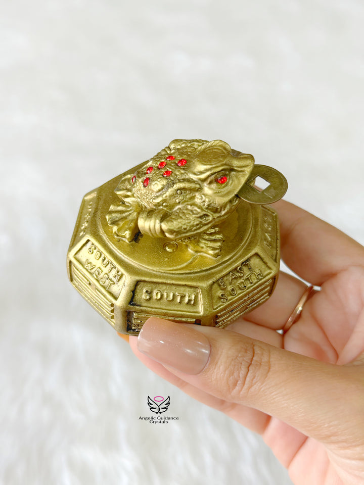 Money Frog For Good Luck