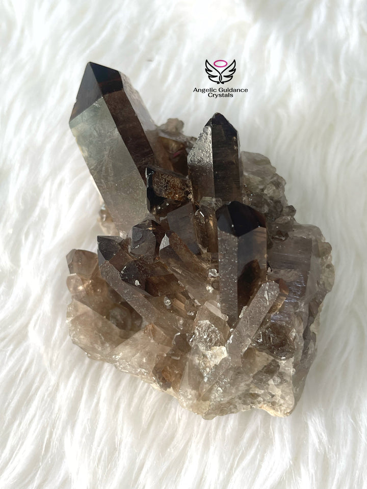 Smoky Quartz Cluster Large