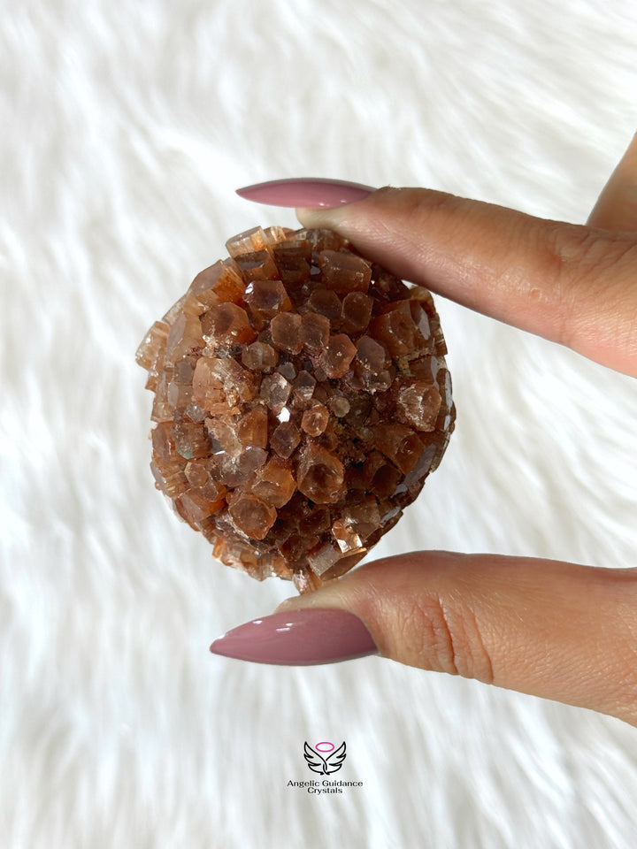 Aragonite Sputnik Cluster
