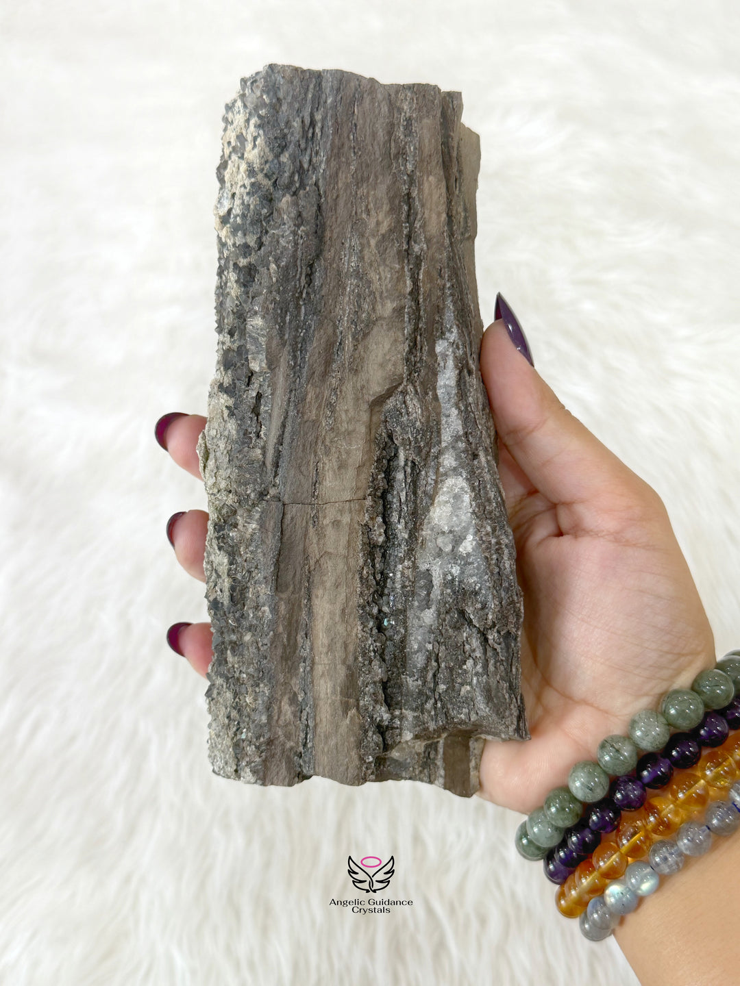 Petrified Wood With Smoky Quartz 6