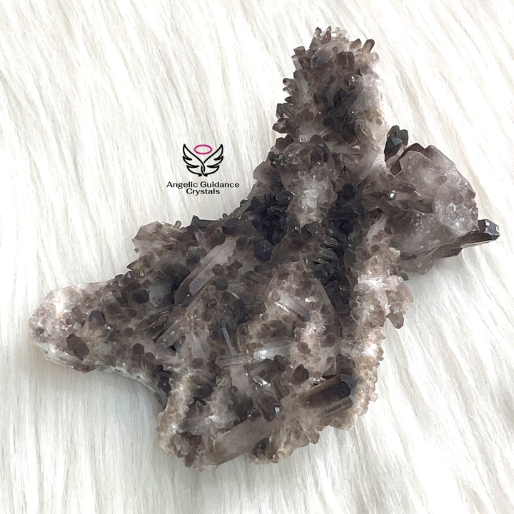 Smoky Quartz Cluster 19