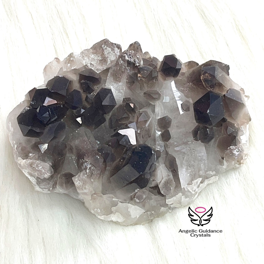 Smoky Quartz Cluster 17