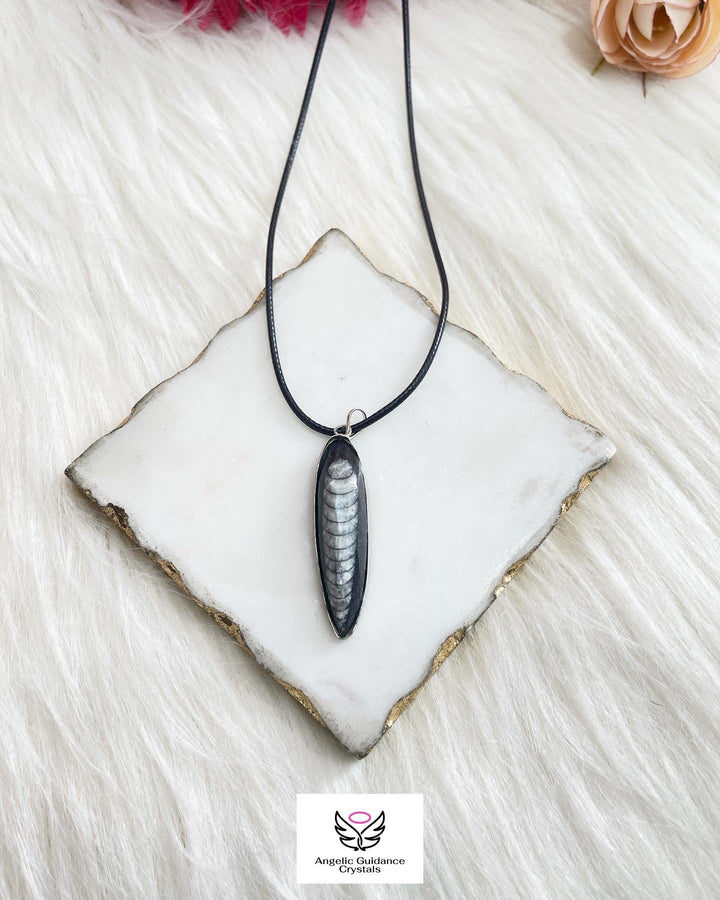 Orthoceras Fossil Pendant Small