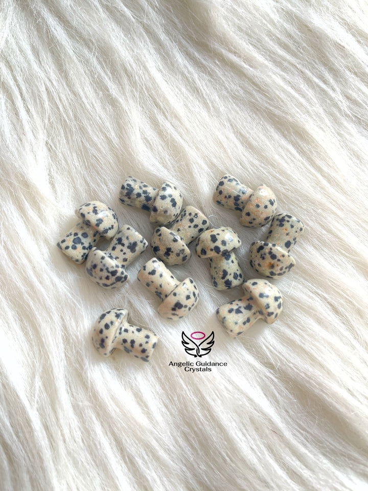 Dalmatian Jasper Baby Mushroom